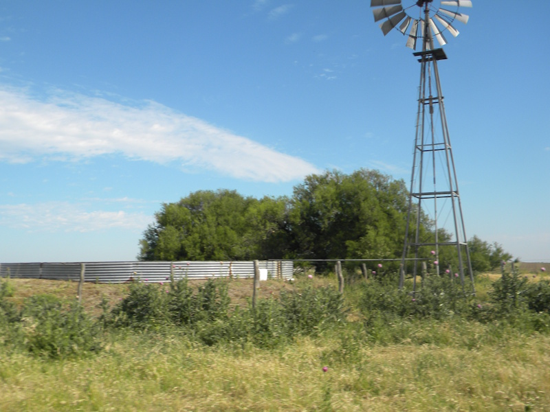463ha Arboledas