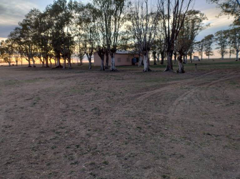 Foto miniatura
