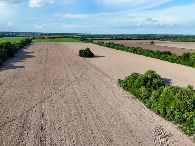 448ha - Finca del Buey Muerto - Sgo. del Estero