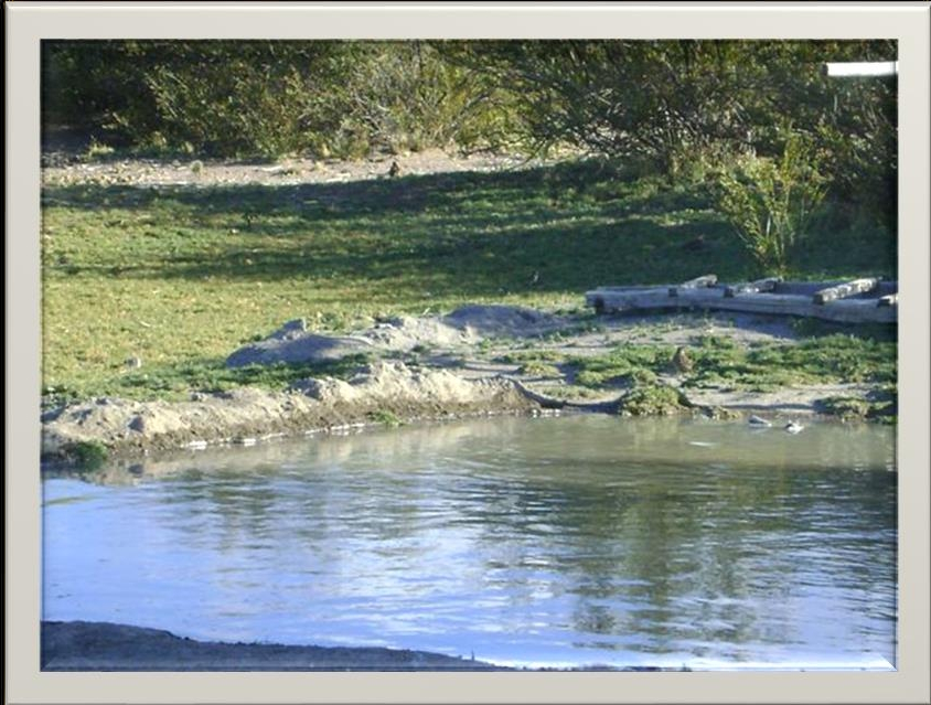 3500ha - Valcheta - Rio Negro