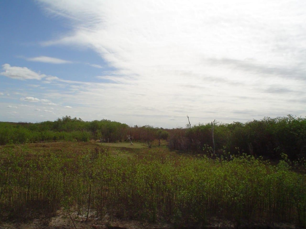 9700ha Alpa Juraj - Campo de Sosa