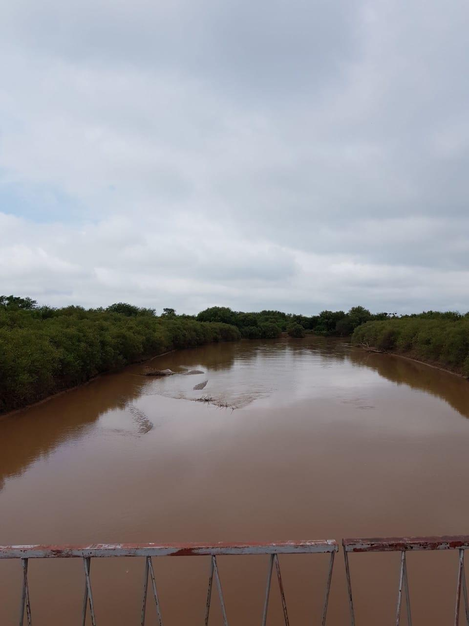 Foto miniatura