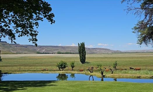 4047ha - La Rinconada - Neuquen