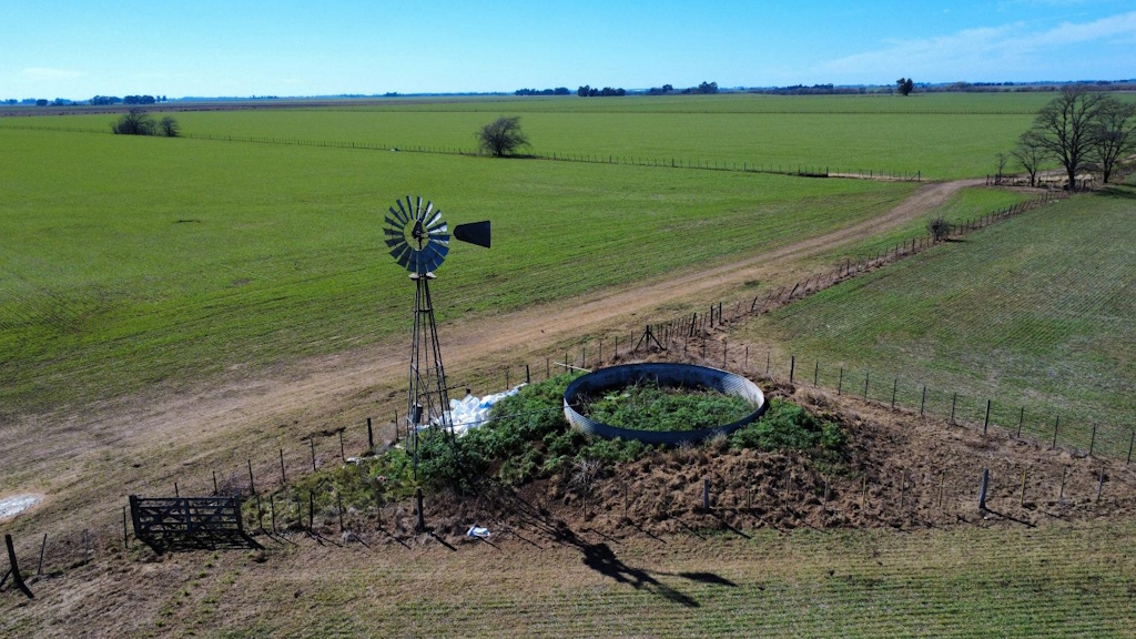 176ha Coronel Suarez - Buenos Aires